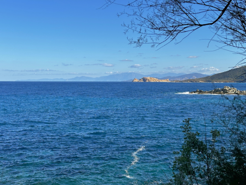 Villas Villa Marine de Davia  Filippini Immobilier Agence Immobilière