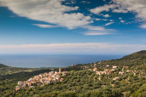 Maisons de village Maison  vue mer et Montagne Aregno Filippini Immobilier Agence Immobilière